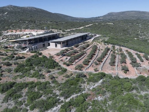 Εκδήλωση στη Χίο για το πρώτο δίκτυο μεταφοράς τεχνογνωσίας και καινοτομίας στη μαστιχοκαλλιέργεια