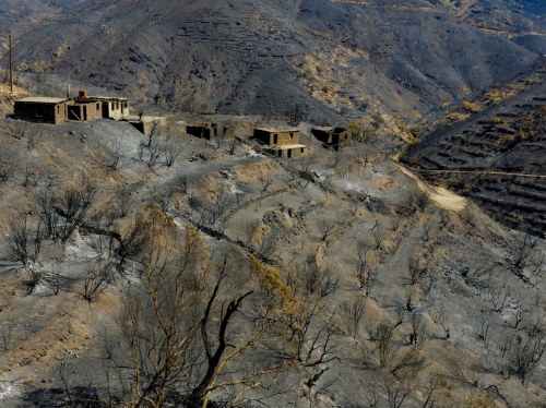 Σχέδιο 2 εκατομμυρίων ευρώ από τον Δήμο Χίου για την αποκατάσταση των πυρόπληκτων περιοχών