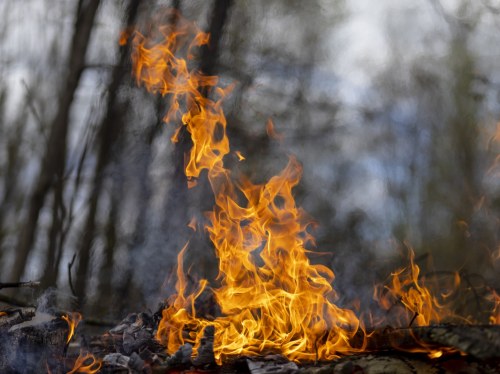 Η Χίος μετά τη φωτιά: Ημερίδα του 2ου ΓΕΛ για τις προκλήσεις και το αύριο