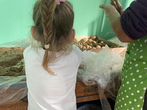 Σβώλοι Ζωής στην Αμανή