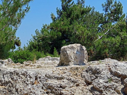 «Διαβάζουμε Όμηρο» στη Δασκαλόπετρα