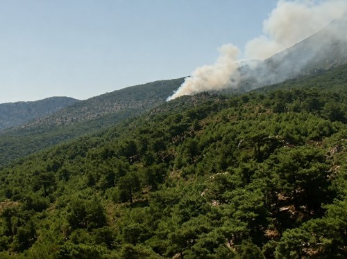 Σε εξέλιξη πυρκαγιά στο Βίκι