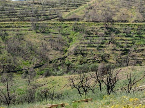 Η Εθνική Τράπεζα στηρίζει έμπρακτα τη Χίο με έργα αντιπλημμυρικής και αντιδιαβρωτικής προστασίας