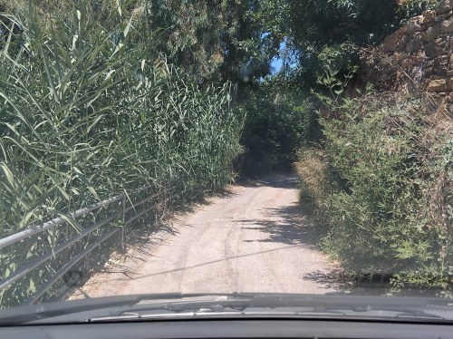 Χρειάζονται και άλλες χορτοκοπές και καθαρισμοί σε δημοτικούς χώρους (Νο 2)