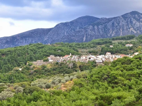 Πεζοπορική εξόρμηση στο Πελινναίο και το Βίκι από τον Σύλλογο «Περιπατείν»