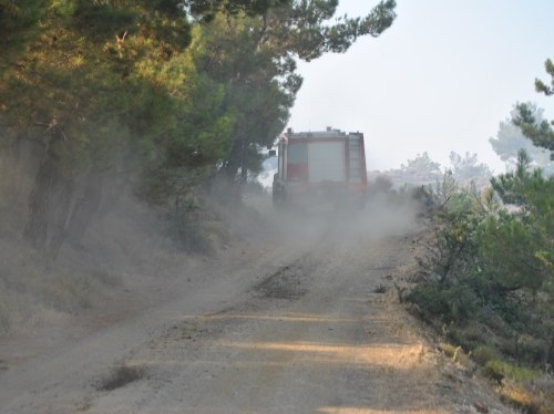 Βίκι: Υπό έλεγχο η φωτιά –Σύλληψη ενός άνδρα και έρευνα για τα αίτια