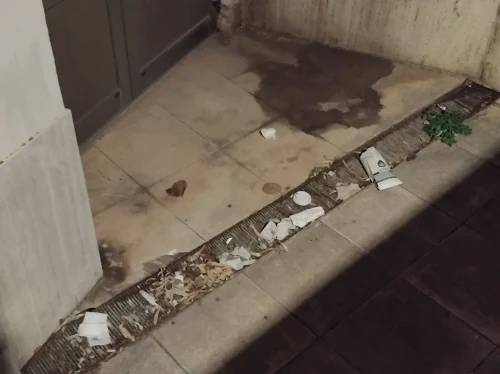 Βρωμιά και δυσωδία έξω από το Ομήρειο