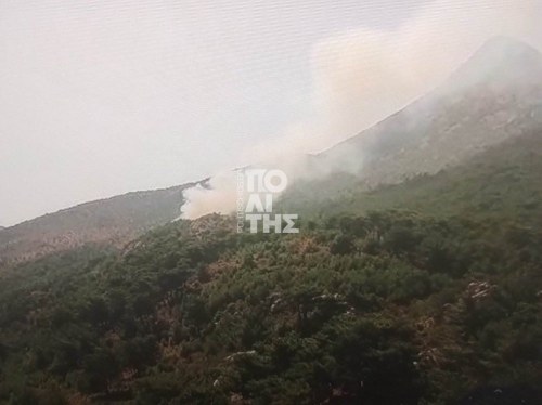 Σε εξέλιξη πυρκαγιά στο Βίκι