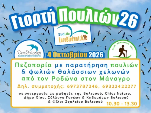 Γιορτή Πουλιών στη Βολισσό με πεζοπορία και εξερεύνηση φωλιών θαλάσσιων χελωνών