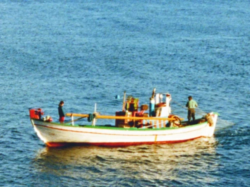 Από τη θάλασσα, στο χωράφι και στο κοπάδι. Ποιος θα μείνει να παράγει;