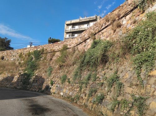 Οι καπαριές και τα αγριόχορτα στην τάφρο του Φρουρίου