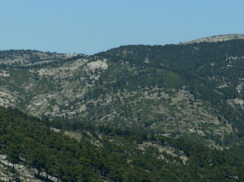Απαγόρευση κυκλοφορίας στα δάση της Χίου έως το τέλος της αντιπυρικής περιόδου